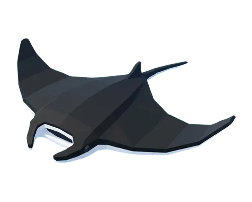 Manta Ray