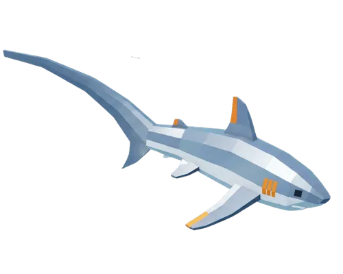 Thresher Shark